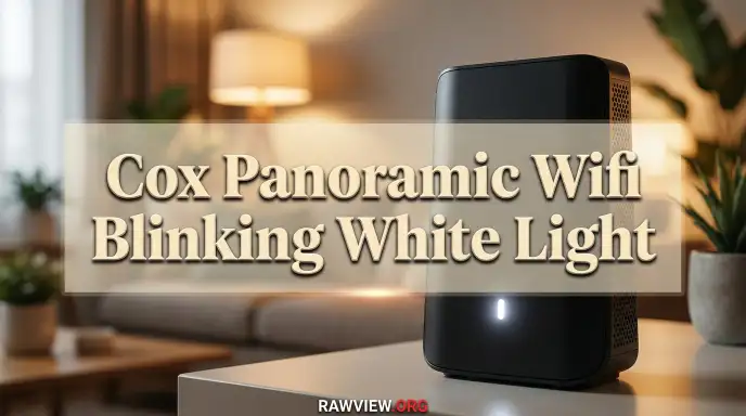 Cox Panoramic Wifi Blinking White Light