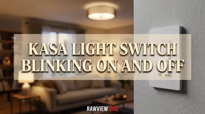 Kasa Light Switch Blinking on And off
