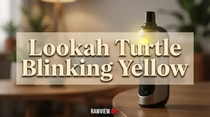 Lookah Turtle Blinking Yellow