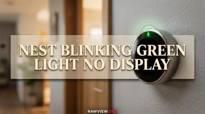 Nest Blinking Green Light No Display