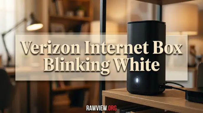 Verizon Internet Box Blinking White